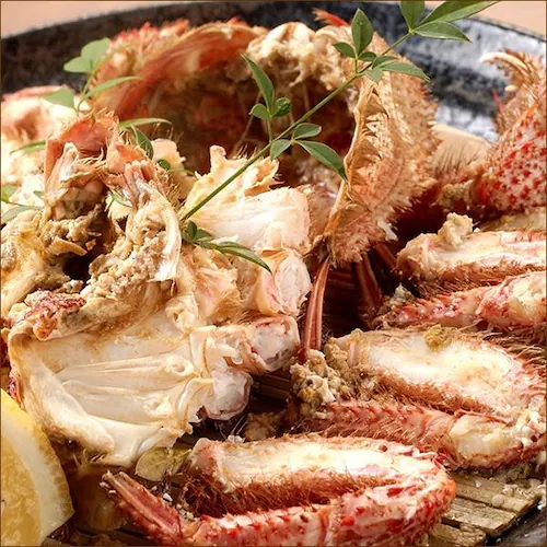 �J�j �k�C���Y �уK�j 650g�~1�� (�p/�{�C���Ⓚ) �т��� �M�t�g ���蕨 ���ƒ�p ���� �I �����񂹁y������s�z_4