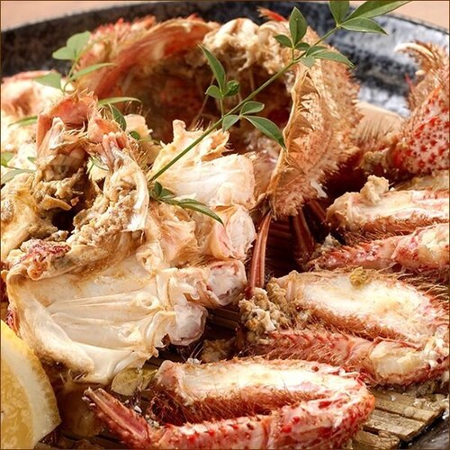 �J�j �k�C���Y �уK�j 570g�~1�� (�p/�{�C���Ⓚ) �т��� �M�t�g ���蕨 ���ƒ�p ���� �I �����񂹁y������s�z_4