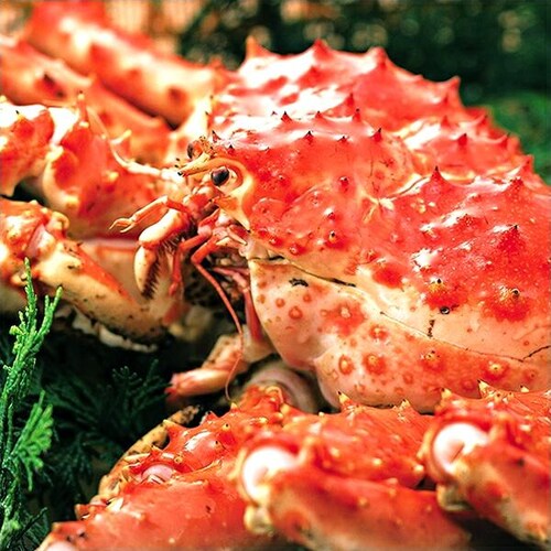 カニ 特大 タラバガニ脚 1kg (1肩入り/ボイル冷凍) たらば たらば蟹 ギフト 贈り物 かに お取り寄せ【代引き不可】_7