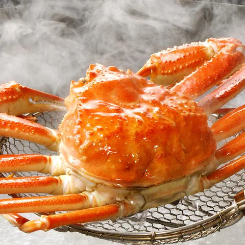 カニ ボイルズワイガニフレーク 1袋 (赤白ミックス/500g×1袋/冷凍) 海鮮 ギフト 贈り物 お取り寄せ【代引き不可】_7