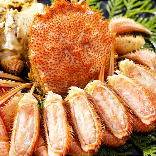 �J�j �k�C���Y �уK�j 500g�~1�� (�p/�{�C���Ⓚ) �т��� �M�t�g ���蕨 ���ƒ�p ���� �I �����񂹁y������s�z_3