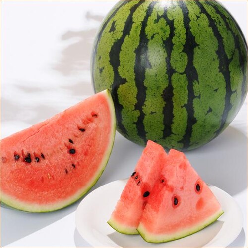 �y�o�ג��z�k�C���Y �炢�ł�X�C�J 1�� (JA����/���G�i/1�� 7.0kg/�퉷��) �k�C�� ������ �M�t�g ���蕨 �ʕ� ������_1