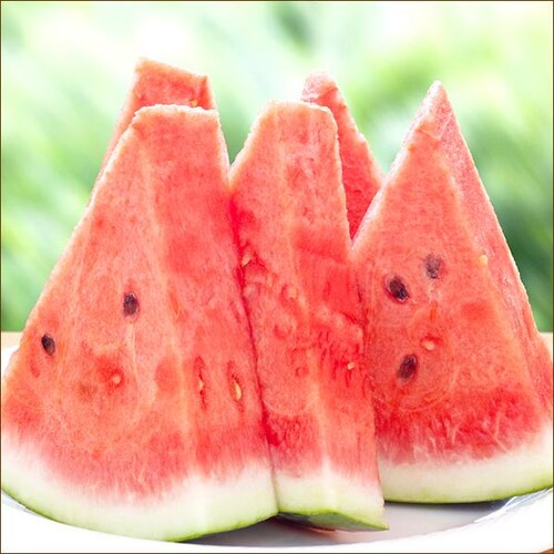 �y�o�ג��z�k�C���Y �炢�ł�X�C�J 1�� (JA����/���G�i/1�� 7.0kg/�퉷��) �k�C�� ������ �M�t�g ���蕨 �ʕ� ������_2