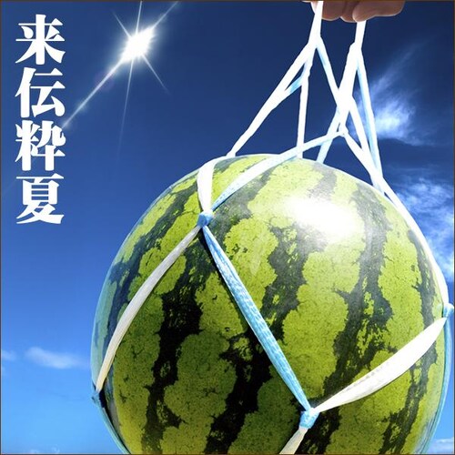 【出荷中】北海道産 らいでんスイカ 1玉 (JA共撰/秀品/1玉 7.0kg/常温便) 北海道 お中元 ギフト 贈り物 果物 お取り寄せ_8