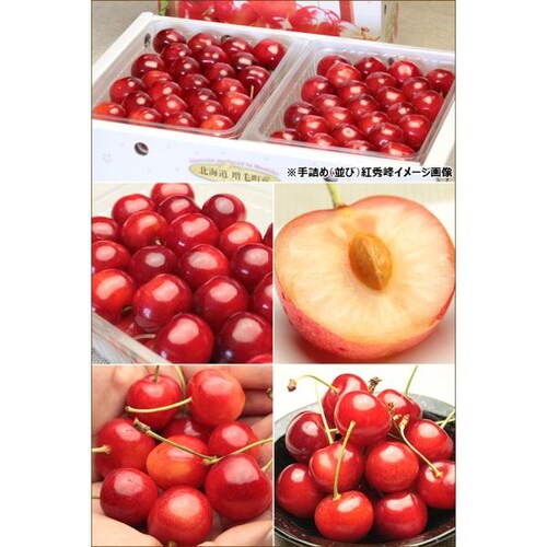 【出荷間近】北海道 増毛産 さくらんぼ 佐藤錦 600g (共撰/秀品/Lサイズ/300g×2/手詰め/クール便) お中元 暑中見舞い ギフト 贈り物 果物 フルーツ お取り寄せ_3