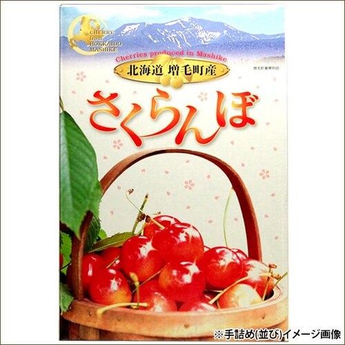 【出荷間近】北海道 増毛産 さくらんぼ 佐藤錦 600g (共撰/秀品/Lサイズ/300g×2/手詰め/クール便) お中元 暑中見舞い ギフト 贈り物 果物 フルーツ お取り寄せ_4