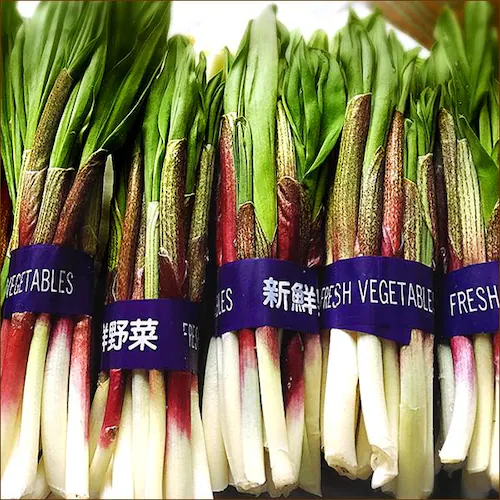 本物 強烈 行者ニンニク 醤油漬け 1本 (北海道産/天然/行者にんにく) 山菜 ご飯のお供 北海道 お取り寄せ【代引き不可】_5