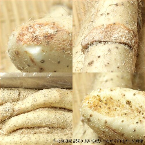 �y�o�ג��z������ �k�C���Y �󂠂� ���� 2.5kg (�@��L�Y�E�܂�E��`�E���T�C�Y�Ȃ�) �k�C�� �����񂹁y������s�z_1