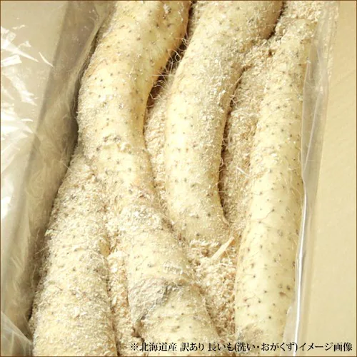 �y�o�ג��z������ �k�C���Y �󂠂� ���� 2.5kg (�@��L�Y�E�܂�E��`�E���T�C�Y�Ȃ�) �k�C�� �����񂹁y������s�z_2