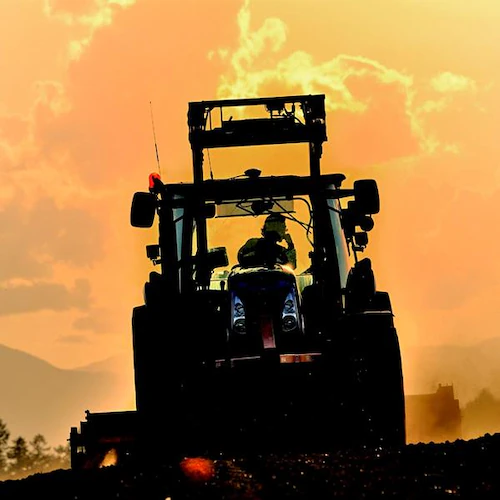 �y�o�ג��z������ �k�C���Y �󂠂� ���� 2.5kg (�@��L�Y�E�܂�E��`�E���T�C�Y�Ȃ�) �k�C�� �����񂹁y������s�z_7