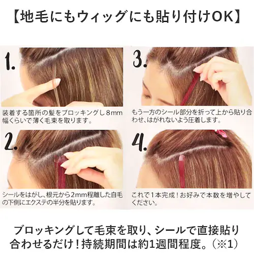 �V�[�� �G�N�X�e �Z���t �ʔ� �V�[���G�N�X�e �v���V�� SX-01 prisila �߂���y ���� �t���� �w�A�G�N�X�e���V���� �G�N�X�e���V���� �J���[�G�N�X�e �J���[�E�B�b�O ���b�V�� �ϔM _7