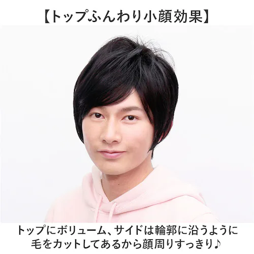 prisila �v���V�� �E�B�b�O MA-10 �����Y �ʔ� �I�[���E�C�b�O �I�[���E�B�b�O �t���E�B�b�O �t���E�C�b�O �S������ ���� �E�C�b�O �����Y�E�B�b�O �J�c�� �j���p �j�� PRISI_10