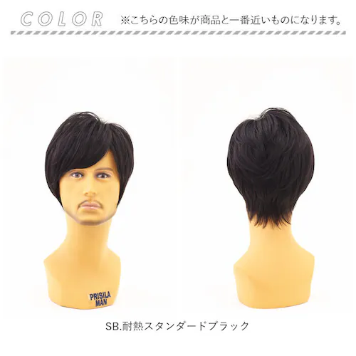 prisila �v���V�� �E�B�b�O MA-10 �����Y �ʔ� �I�[���E�C�b�O �I�[���E�B�b�O �t���E�B�b�O �t���E�C�b�O �S������ ���� �E�C�b�O �����Y�E�B�b�O �J�c�� �j���p �j�� PRISI_15