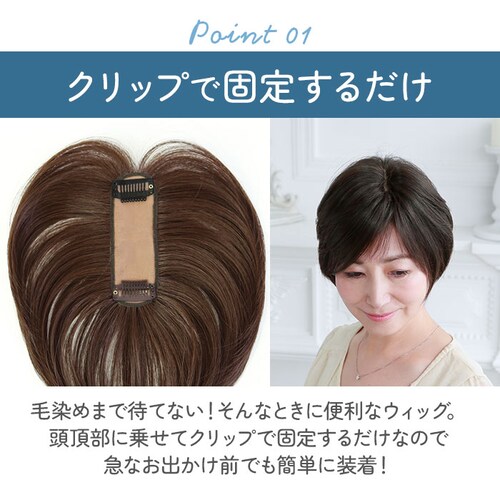 �v���V�� �E�B�b�O ���f�B�[�X ������ ST-005 �ʔ� �~�Z�X�E�B�b�O �����������E�B�b�O �����E�C�b�O �����E�B�b�O ���� �������� �G�N�X�e �t���� �t���� �������� ������ ���� �J�o�[_3