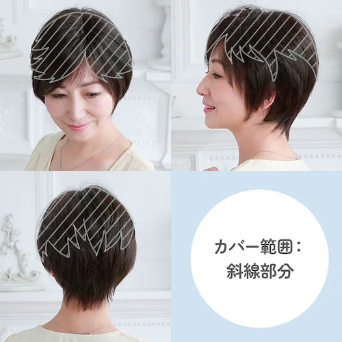 �v���V�� �E�B�b�O ���f�B�[�X ������ ST-005 �ʔ� �~�Z�X�E�B�b�O �����������E�B�b�O �����E�C�b�O �����E�B�b�O ���� �������� �G�N�X�e �t���� �t���� �������� ������ ���� �J�o�[_8