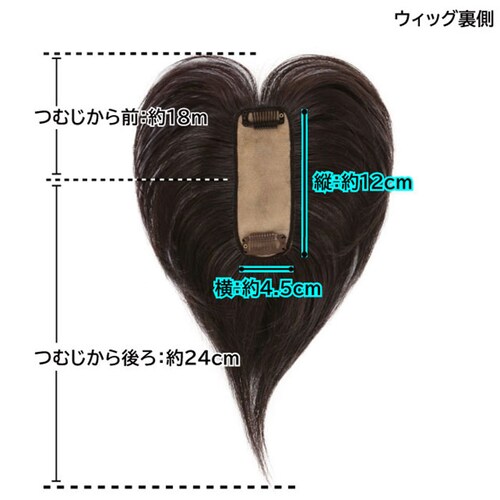 �v���V�� ���� �E�B�b�O prisila ST-100 �ʔ� ���� ���� ���f�B�[�X �����E�B�b�O �|�C���g�E�C�b�O �w�A�s�[�X �|�C���g�E�B�b�O �E�C�b�O ������ �ނ� �����B�� ���������� �J_12