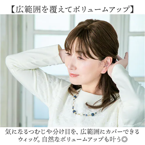 �v���V�� ���� �E�B�b�O prisila ST-102 �ʔ� ���� ���� ���f�B�[�X �����E�B�b�O �|�C���g�E�C�b�O �w�A�s�[�X �|�C���g�E�B�b�O �E�C�b�O ������ �ނ� �����B�� ���������� �J_5