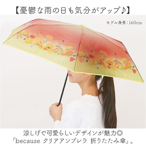 because �܂肽���ݎP �r�R�[�Y B-055262 �ʔ� �܂��ݎP �r�j�[���P �܂肽���݃r�j�[���P �P �J�P ���� �J�T ��J�� 50cm 50�Z���` Lipton ���v�g�� �t���[�c�C���e_1