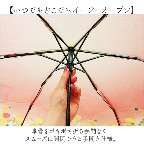 because �܂肽���ݎP �r�R�[�Y B-055262 �ʔ� �܂��ݎP �r�j�[���P �܂肽���݃r�j�[���P �P �J�P ���� �J�T ��J�� 50cm 50�Z���` Lipton ���v�g�� �t���[�c�C���e_3