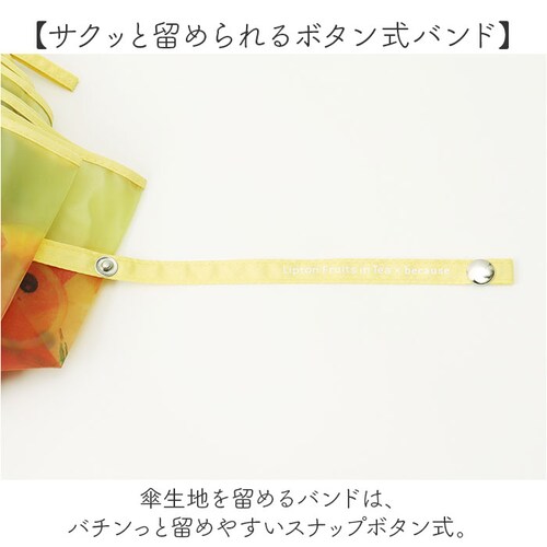 because �܂肽���ݎP �r�R�[�Y B-055262 �ʔ� �܂��ݎP �r�j�[���P �܂肽���݃r�j�[���P �P �J�P ���� �J�T ��J�� 50cm 50�Z���` Lipton ���v�g�� �t���[�c�C���e_5