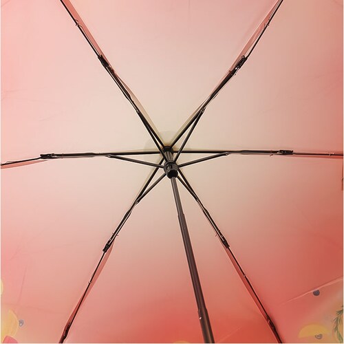 because �܂肽���ݎP �r�R�[�Y B-055262 �ʔ� �܂��ݎP �r�j�[���P �܂肽���݃r�j�[���P �P �J�P ���� �J�T ��J�� 50cm 50�Z���` Lipton ���v�g�� �t���[�c�C���e_7