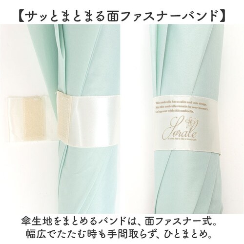 �W�����v�P ���f�B�[�X 60cm �ʔ� �W�����v �P ���P �J�P ���� �J�T �����^�b�` �傫�� �V���v�� ���n ������� ���킢�� �I�V���� ���� �O���X�t�@�C�o�[ �����݃J���[ �ʋ� �ʊw ����_6