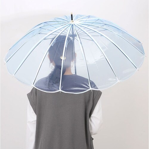 wpc ���[���h�p�[�e�B �r�j�[���P ���f�B?�X �ʔ� ���P �J�P �P ���� �J�T �A���u���� ���� �N���A �J�W���A�� �e��55cm �傫�� ��J�� �}�[���C�h ���킢�� ���� ��i �G���K���g _2