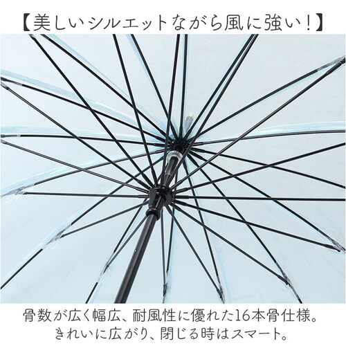 wpc ���[���h�p�[�e�B �r�j�[���P ���f�B?�X �ʔ� ���P �J�P �P ���� �J�T �A���u���� ���� �N���A �J�W���A�� �e��55cm �傫�� ��J�� �}�[���C�h ���킢�� ���� ��i �G���K���g _6