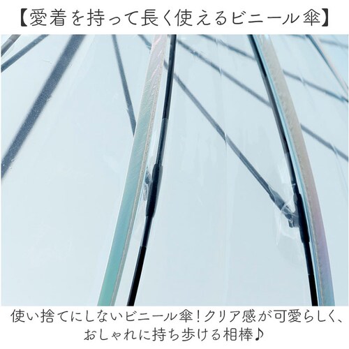 wpc ���[���h�p�[�e�B �r�j�[���P ���f�B?�X �ʔ� ���P �J�P �P ���� �J�T �A���u���� ���� �N���A �J�W���A�� �e��55cm �傫�� ��J�� �}�[���C�h ���킢�� ���� ��i �G���K���g _9