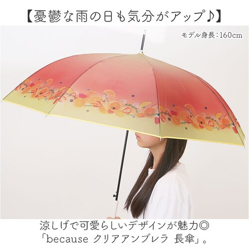 because �r�j�[���P �r�R�[�Y B-552762 �ʔ� ���P �W�����v�P �P �J�P ���� �J�T �r�j�[�� �W�����v 58cm 58�Z���` Lipton ���v�g�� �t���[�c�C���e�B�[ ���f�B�[�X _1