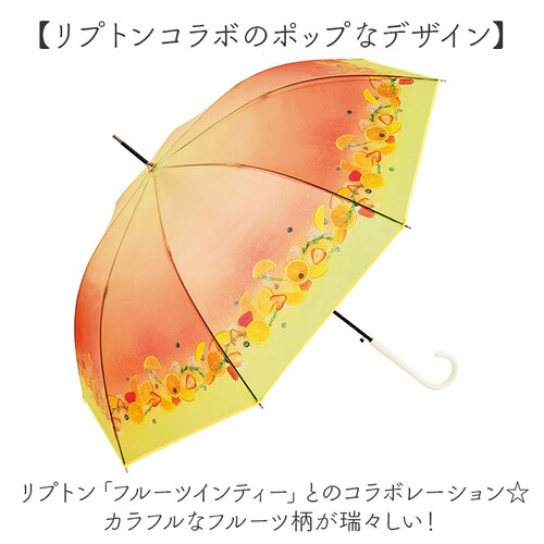 because �r�j�[���P �r�R�[�Y B-552762 �ʔ� ���P �W�����v�P �P �J�P ���� �J�T �r�j�[�� �W�����v 58cm 58�Z���` Lipton ���v�g�� �t���[�c�C���e�B�[ ���f�B�[�X _2