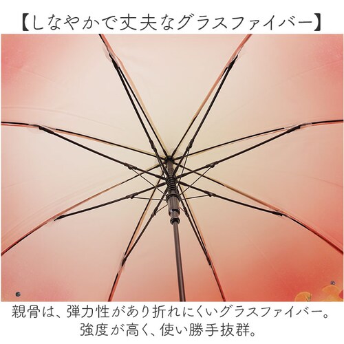 because �r�j�[���P �r�R�[�Y B-552762 �ʔ� ���P �W�����v�P �P �J�P ���� �J�T �r�j�[�� �W�����v 58cm 58�Z���` Lipton ���v�g�� �t���[�c�C���e�B�[ ���f�B�[�X _4