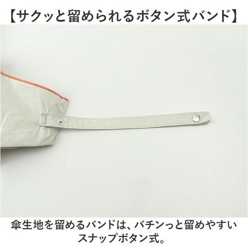 wpc ���P �܂肽���� ���S�Ռ� ���J���p 801-19593-102 �ʔ� ���[���h�p�[�e�B�[ �܂肽���ݓ��P ���J���p�P �܂肽���ݎP ���킢�� ���f�B�[�X �ՔM 47cm 47�Z���` �������_7