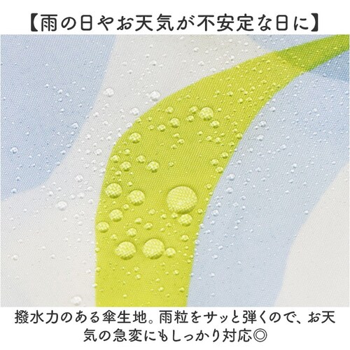 wpc ���[���h�p�[�e�B�[ �܂肽���ݎP ���J���p �ʔ� �܂��ݎP ���J���p�P ���J���p�܂肽���ݎP ����J���p �J�P ���P ���� �J�T �P ���f�B�[�X ���� 53cm ��J�� �R���p�N�g �������_3