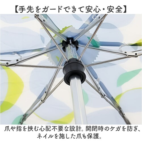 wpc ���[���h�p�[�e�B�[ �܂肽���ݎP ���J���p �ʔ� �܂��ݎP ���J���p�P ���J���p�܂肽���ݎP ����J���p �J�P ���P ���� �J�T �P ���f�B�[�X ���� 53cm ��J�� �R���p�N�g �������_5