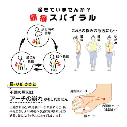 �C���\�[�� �N�b�V���� �ʔ� ���炭�C���\�[�� ���~�� �Ռ��z�� �V���[�t�B�b�^�[ ���f�B�[�X S M L �C �V���[�Y �V���[�P�A �V���[�Y�P�A �w���X�P�A ���� �����d�� �C�p�i �G��_2