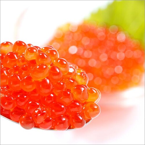 �k�C���Y ������ ������ݖ��Ђ� 500g (�Ⓚ) �H�� ���� �C�N���ݖ��Ђ� �M�t�g ���蕨 �k�C�� �����񂹁y������s�z_2