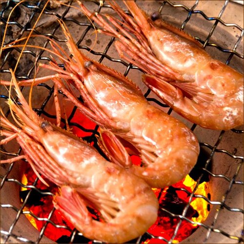 �{�^���G�r 500g (BL/�I�X/10-12������/���Ⓚ) �� �G�r �C�V ���h�g �M�t�g ���蕨 �k�C�� �����񂹁y������s�z_4