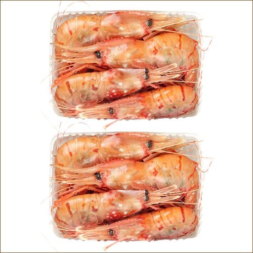 �{�^���G�r 500g (BL/�I�X/10-12������/���Ⓚ) �� �G�r �C�V ���h�g �M�t�g ���蕨 �k�C�� �����񂹁y������s�z_10