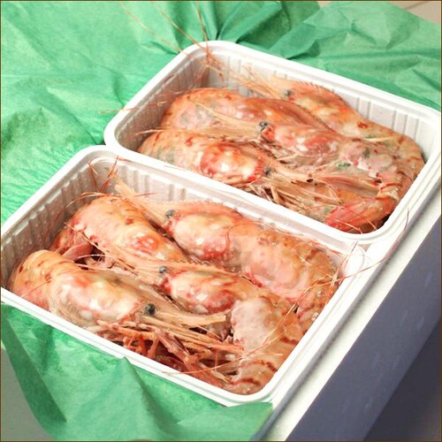 �{�^���G�r 500g (BL/�I�X/10-12������/���Ⓚ) �� �G�r �C�V ���h�g �M�t�g ���蕨 �k�C�� �����񂹁y������s�z_13