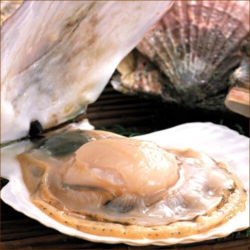 �k�C���Y �ЊL�z�^�e (��1.2kg/20������) �ق��� ���� �k���z�^�e �M�t�g ���蕨 �k�C�� �����񂹁y������s�z_4