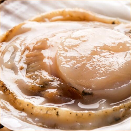 �k�C���Y �ЊL�z�^�e (��1.2kg/20������) �ق��� ���� �k���z�^�e �M�t�g ���蕨 �k�C�� �����񂹁y������s�z_5