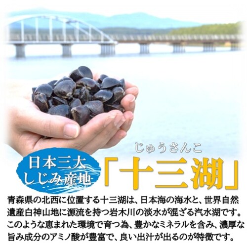 国産 冷凍しじみ 1kg (250g×4袋) 青森県 十三湖産 砂抜き済 しじみ 殻付き 下処理不要 貝 ヤマトシジミ 冷凍シジミ 蜆 出汁_7