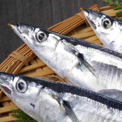 【出荷中】北海道産 生サンマ 2kg (12尾-15尾入り/クール冷蔵便) 新鮮 生 さんま サンマ 秋刀魚 ギフト 贈り物 自宅用 家庭用 北海道 お取り寄せ_8