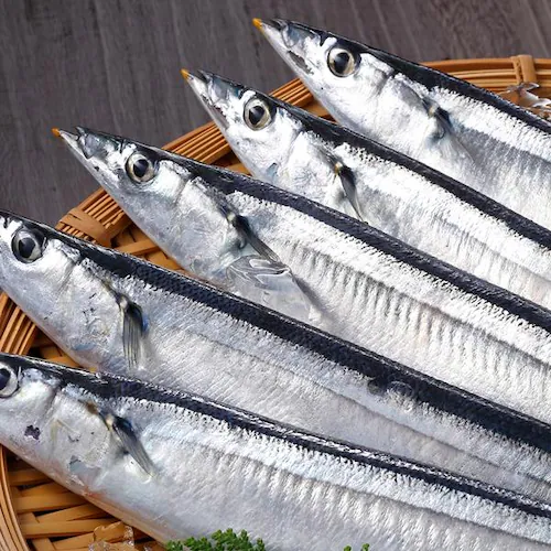 【出荷中】北海道産 生サンマ 2kg (12尾-15尾入り/クール冷蔵便) 新鮮 生 さんま サンマ 秋刀魚 ギフト 贈り物 自宅用 家庭用 北海道 お取り寄せ_9