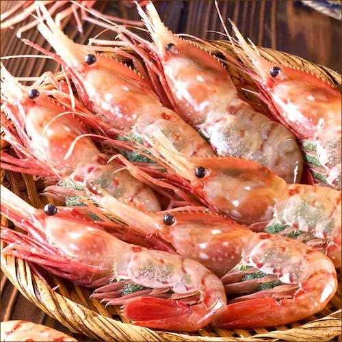 �k�C���Y ���� ������� (���X�q����/30������) �{������� �V�V���� ���t�� �M�t�g �k�C�� �����񂹁y������s�z_12