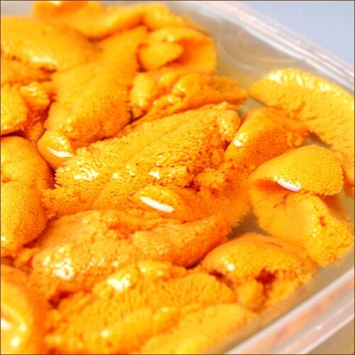 【出荷中】北方四島産 塩水ウニ 生ウニ バフンウニ 100g (100g×1P/クール冷蔵便) ウニ 塩水うに ギフト 贈り物 自宅用 家庭用 北海道 お取り寄せ_3