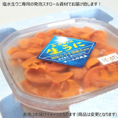 【出荷中】北方四島産 塩水ウニ 生ウニ バフンウニ 100g (100g×1P/クール冷蔵便) ウニ 塩水うに ギフト 贈り物 自宅用 家庭用 北海道 お取り寄せ_4
