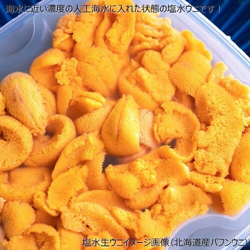 【出荷中】北方四島産 塩水ウニ 生ウニ バフンウニ 100g (100g×1P/クール冷蔵便) ウニ 塩水うに ギフト 贈り物 自宅用 家庭用 北海道 お取り寄せ_5
