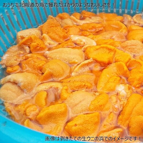 【出荷中】北方四島産 塩水ウニ 生ウニ バフンウニ 100g (100g×1P/クール冷蔵便) ウニ 塩水うに ギフト 贈り物 自宅用 家庭用 北海道 お取り寄せ_6
